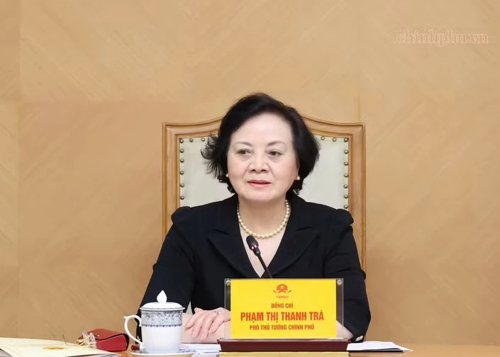 Deputy Prime Minister Pham Thi Thanh Tra at the meeting (Photo: chinhphu.vn)