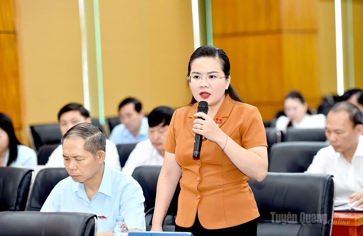 Đại biểu Đỗ Thị Hương, Bí thư Đảng ủy xã Pà Vầy Sủ phát biểu ý kiến thảo luận.
