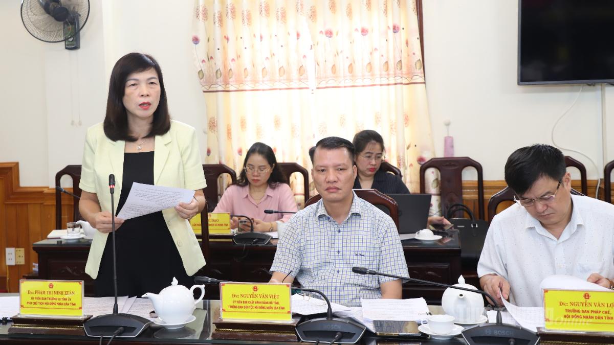 Đồng chí Phó Chủ tịch HĐND tỉnh Phạm Thị Minh Xuân phát biểu tại phiên họp.