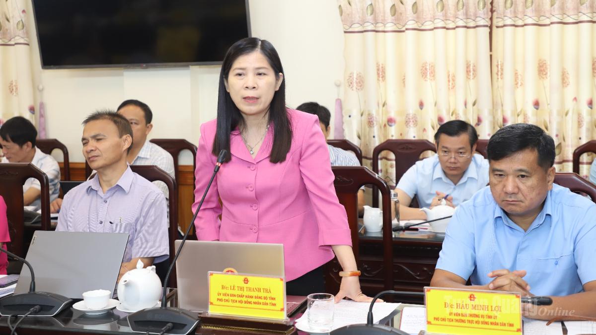 Phó Chủ tịch HĐND tỉnh Lê Thị Thanh Trà phát biểu tại phiên họp.