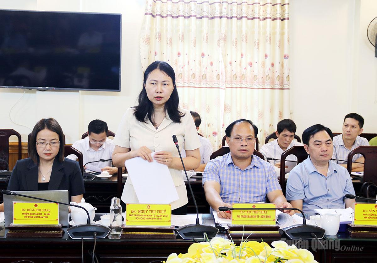 Lãnh đạo Ban Kinh tế - Ngân sách HĐND tỉnh tham gia ý kiến tại cuộc họp.