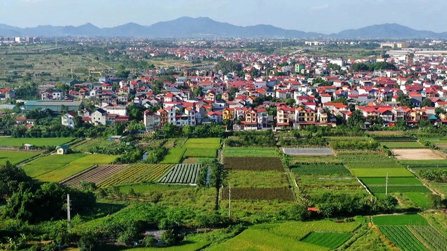 Cẩn trọng với giao dịch đất nông nghiệp bằng giấy viết tay