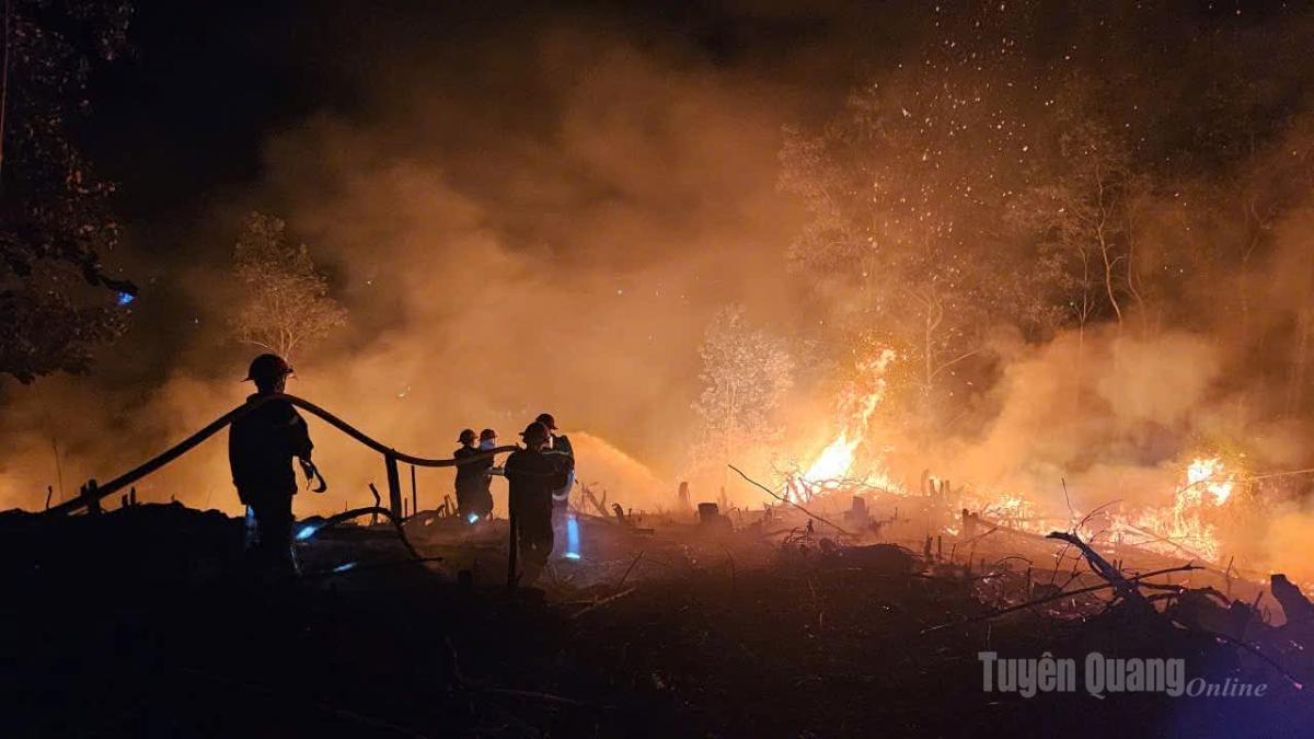 Cháy rừng trong đêm tại phường Hà Giang 1.
