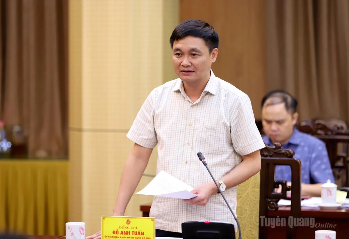 Phó Chủ tịch UBND tỉnh Đỗ Anh Tuấn phát biểu tại cuộc họp.