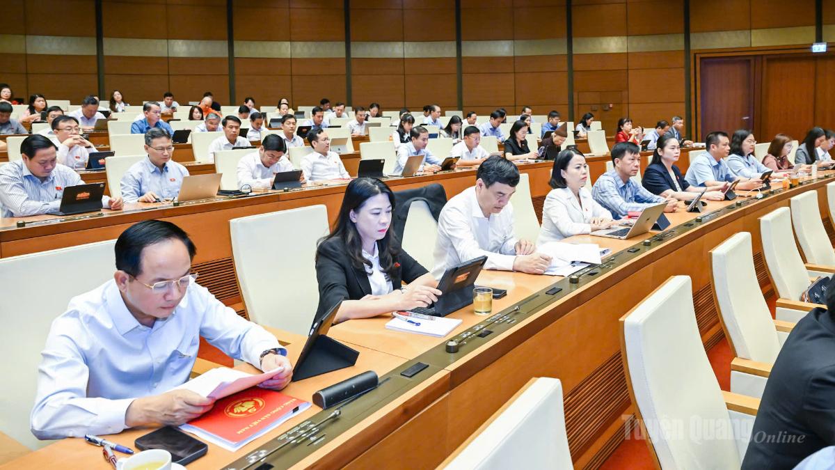 Đoàn ĐBQH tỉnh Tuyên Quang khóa XVI tham dự phiên họp ngày 23-8.