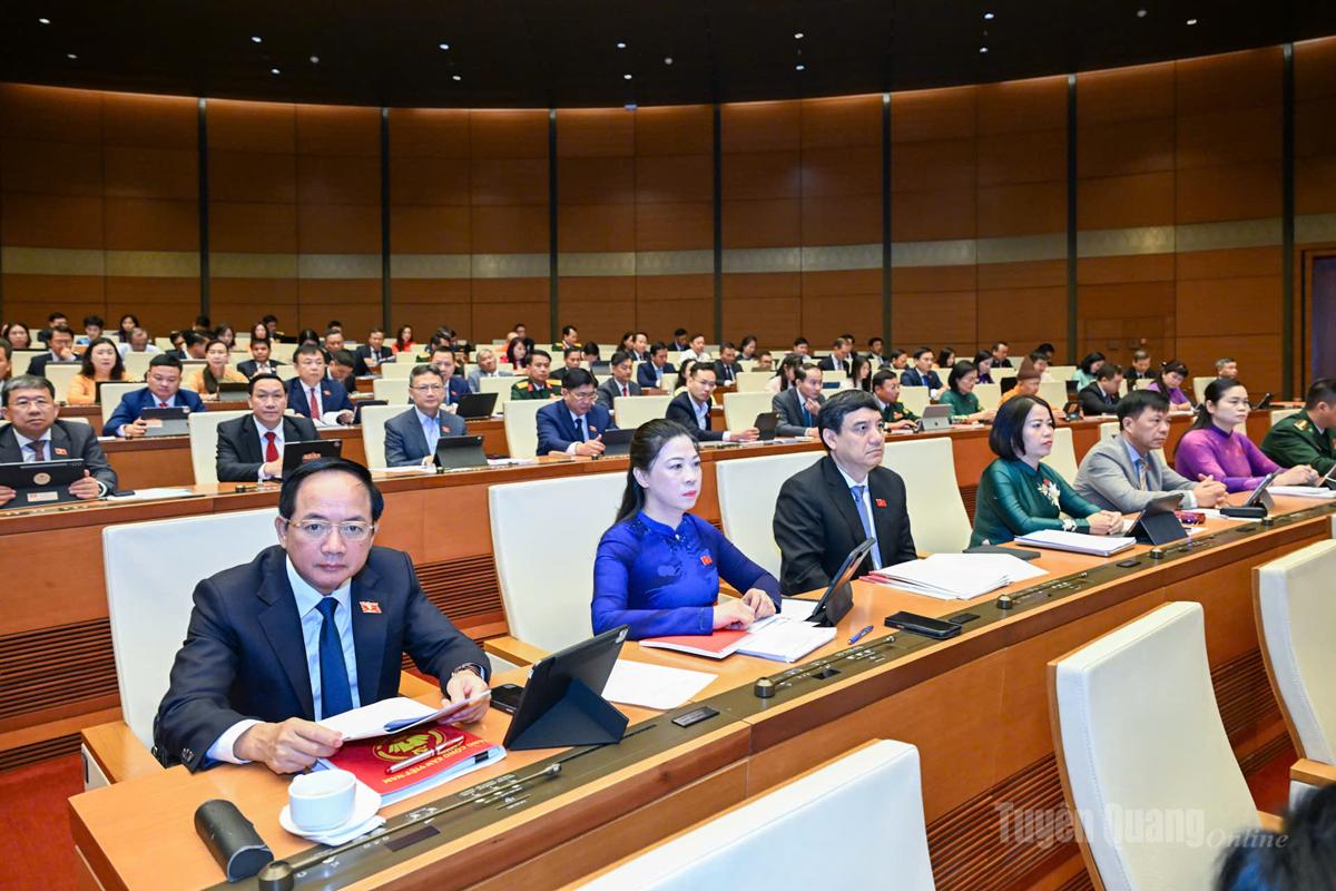 Đoàn đại biểu Quốc hội tỉnh Tuyên Quang khóa XVI, nhiệm kỳ 2026-2031 tham dự khai mạc trọng thể Kỳ họp không thường lệ thứ Nhất.