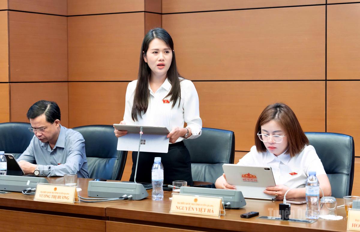 Đại biểu Vương Thị Hương tham gia ý kiến.