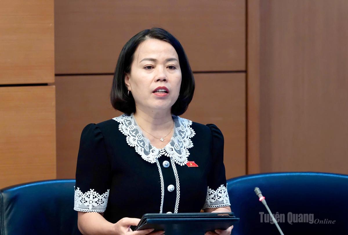 Đại biểu Lý Thị Lan phát biểu ý kiến thảo luận tại tổ.