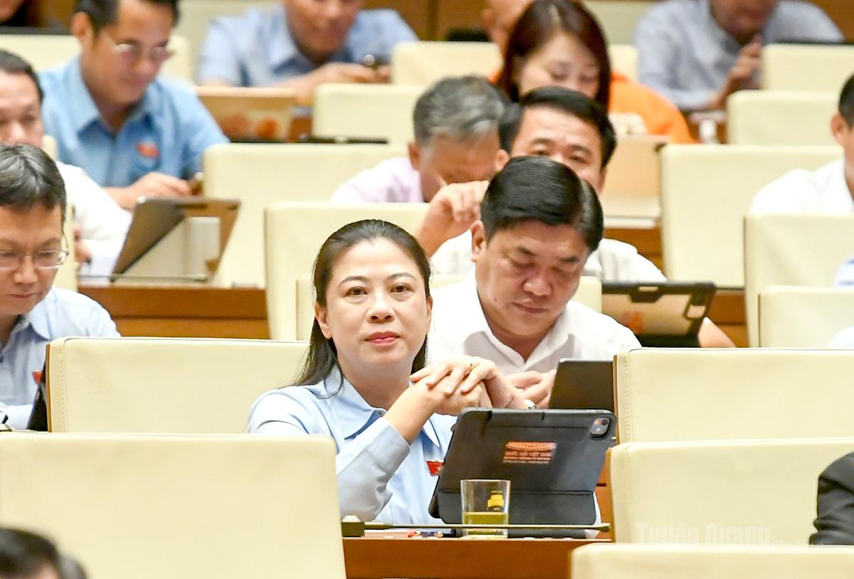 Đoàn ĐBQH tỉnh Tuyên Quang tham gia góp ý hoàn thiện các dự án luật tại hội trường