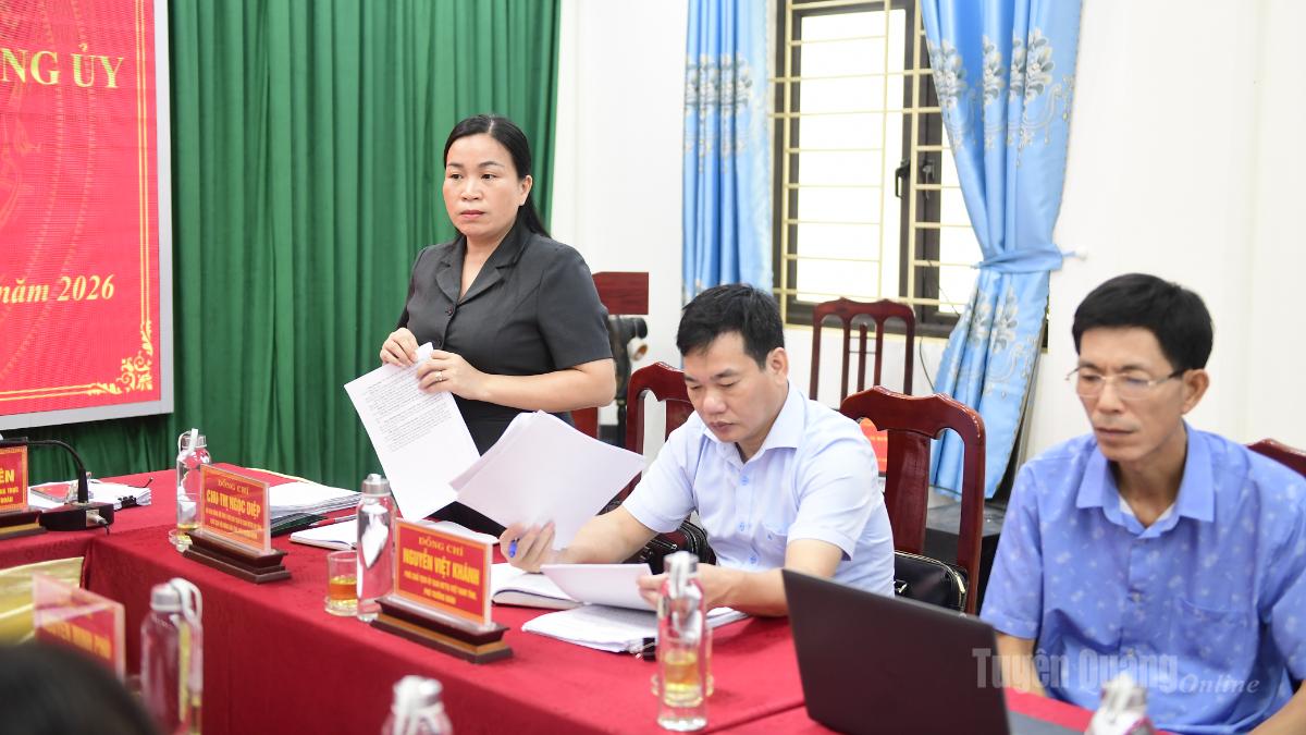 Đồng chí Chu Thị Ngọc Diệp, Ủy viên BCH Đảng bộ tỉnh, Phó Chủ tịch Ủy Ban MTTQ tỉnh, Chủ tịch Hội Nông dân tỉnh, Phó Trưởng đoàn kiểm tra, giám sát phát biểu tại buổi làm việc.