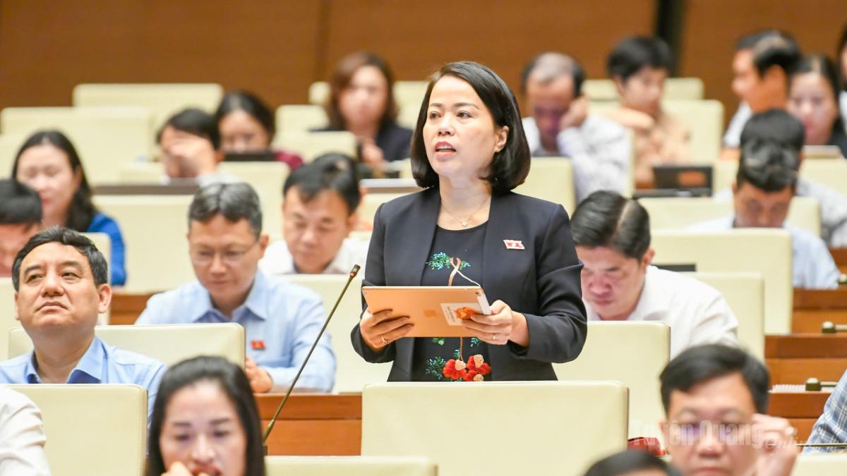 Đại biểu Lý Thị Lan phát biểu ý kiến thảo luận về chủ trương đầu tư Chương trình MTQG phát triển văn hóa- xã hội, nông thôn, dân tộc và miền núi giai đoạn 2026 -2035.