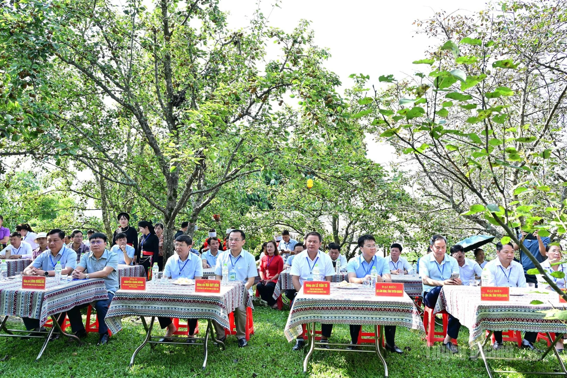 Delegates attend the 2026 Hong Thai Commune Pear Harvest Competition.