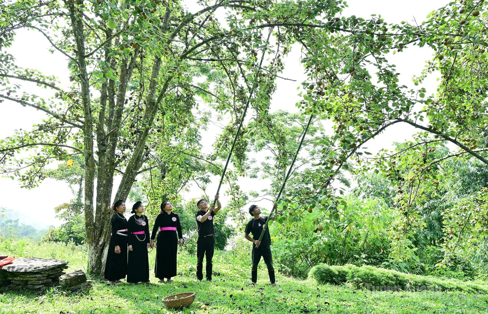 One team wears traditional Tay ethnic costumes.