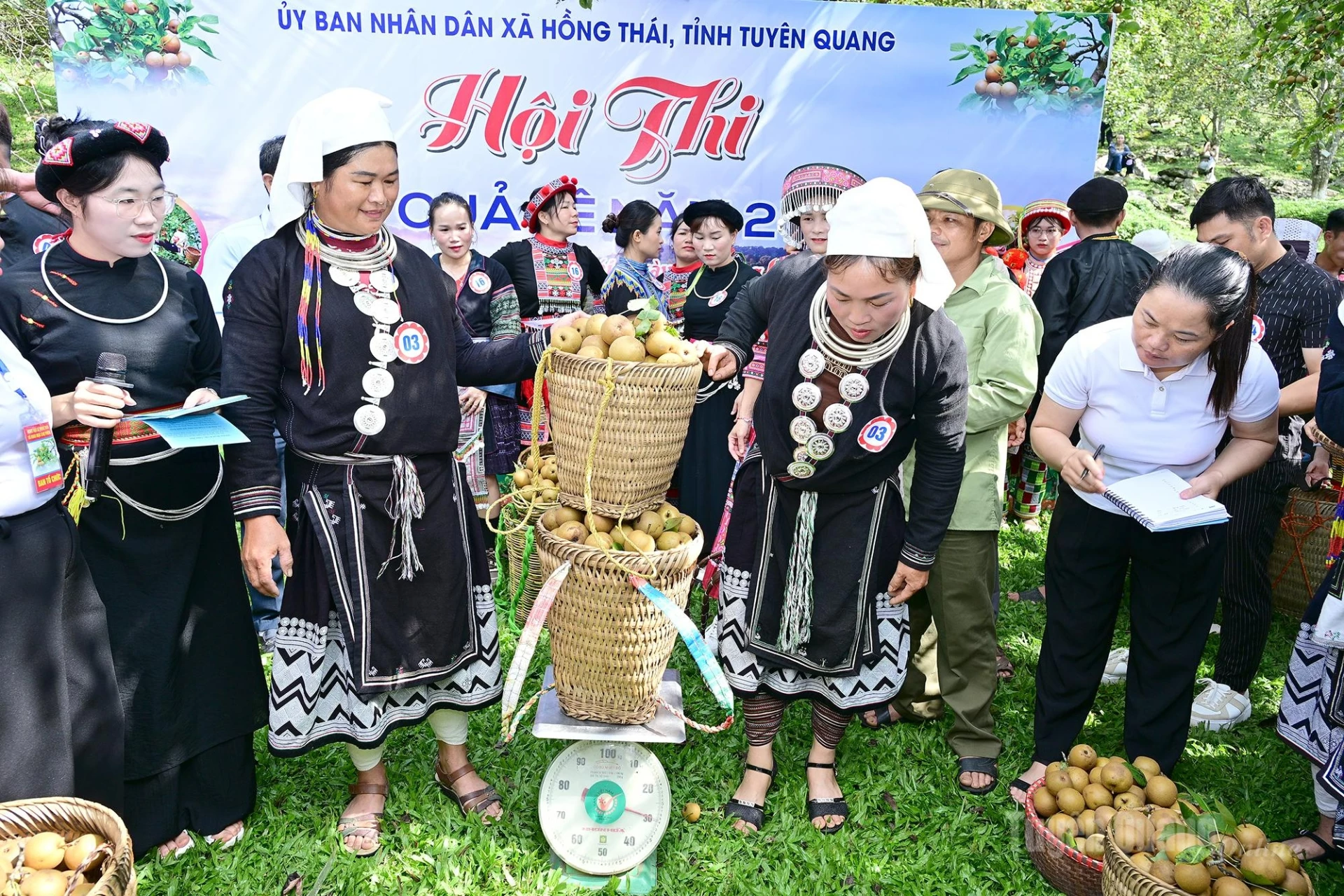 The judging panel weighs the pears harvested by each team.