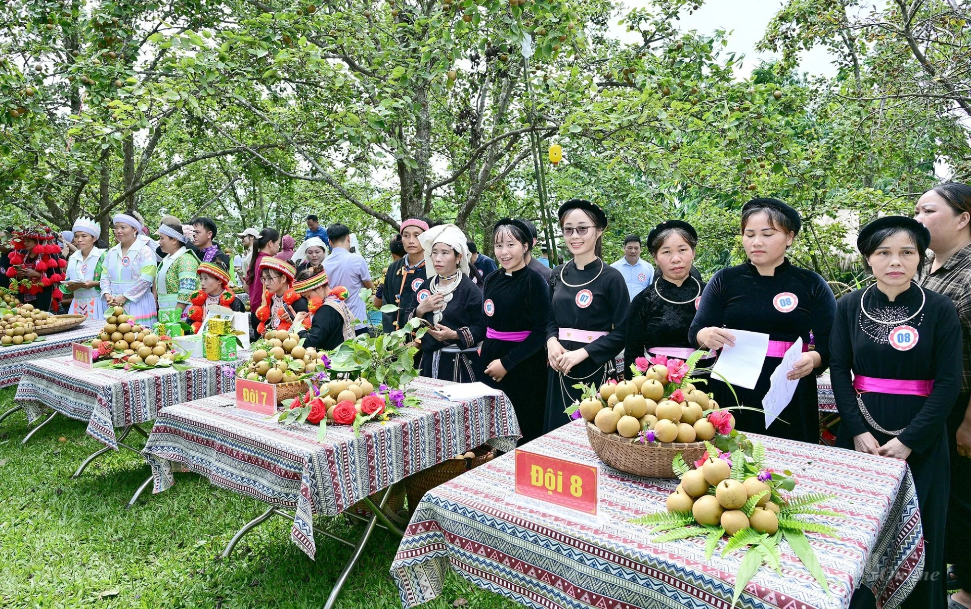 The competition consists of three events: pear picking, product display, and presentations.