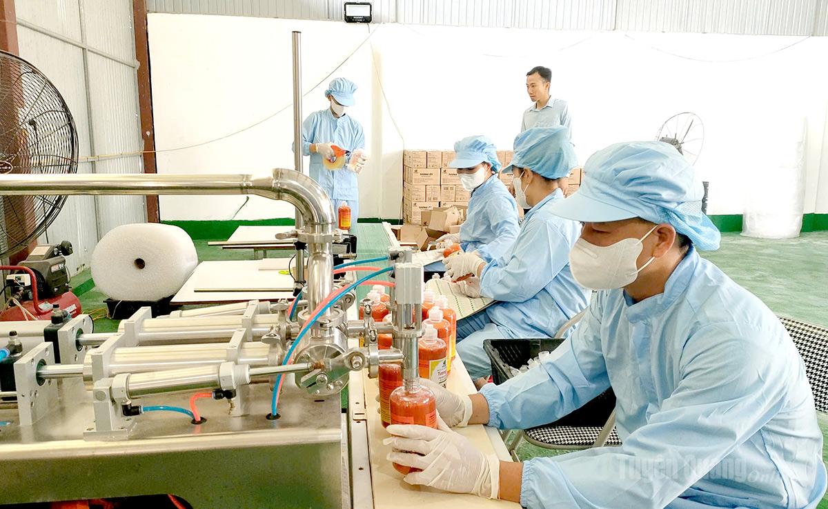 Dây chuyền sản xuất tương ớt của HTX Thảo mộc Việt,
xã Hàm Yên