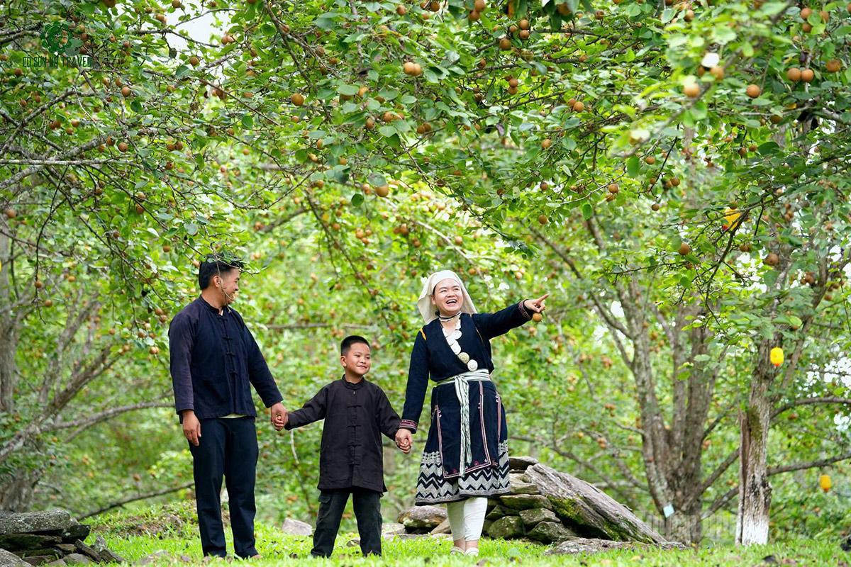 Du khách trải nghiệm vườn lê xã Hồng Thái.
