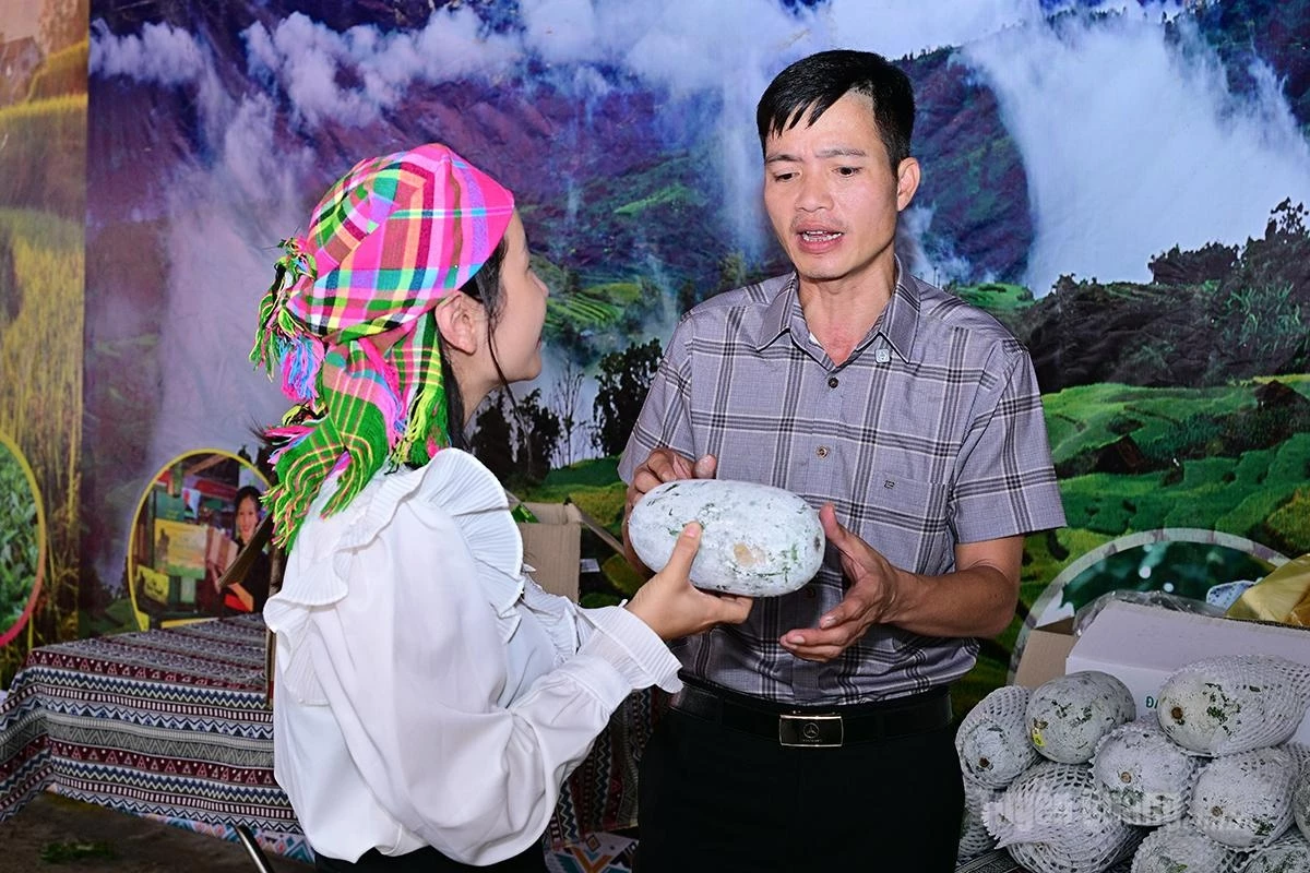 Promoting the localitys fragrant pumpkin on digital platforms.