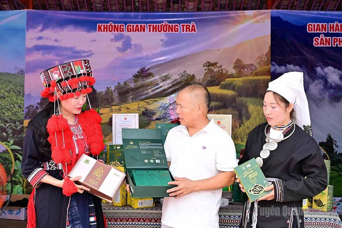 Shan tea produced by Son Tra Cooperative in Hong Thai Commune has been recognized as a five-star OCOP product.