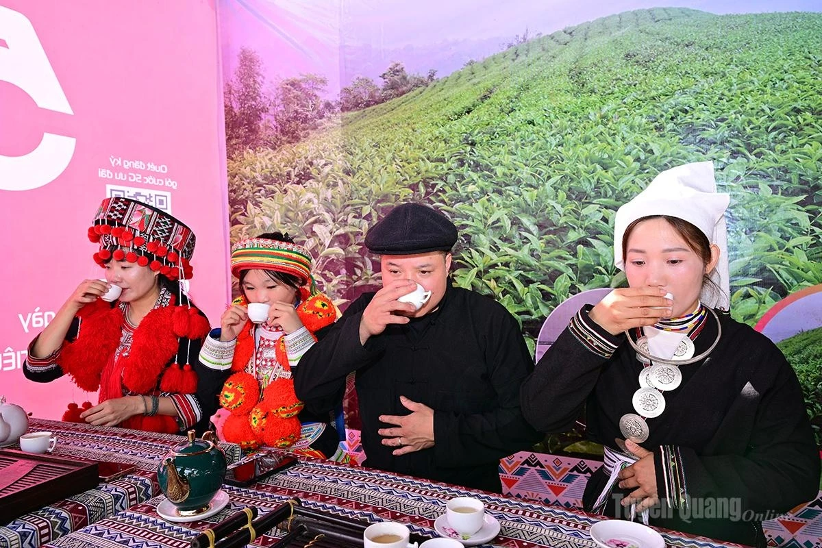 A tea-tasting space featuring Shan Snow tea.