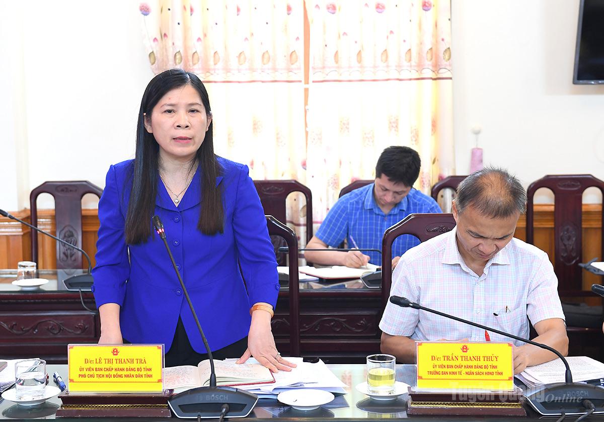Đồng chí Lê Thị Thanh Trà, Ủy viên Ban Chấp hành Đảng bộ tỉnh, Phó Chủ tịch HĐND tỉnh phát biểu tại buổi làm việc.