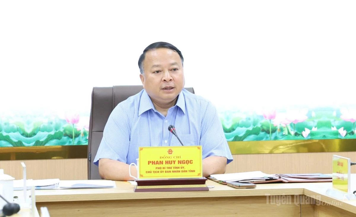 Đồng chí PhanNgọc, Phó Bí thư Tỉnh ủy, Chủ tịch UBND tỉnh chủ trì buổi làm việc.