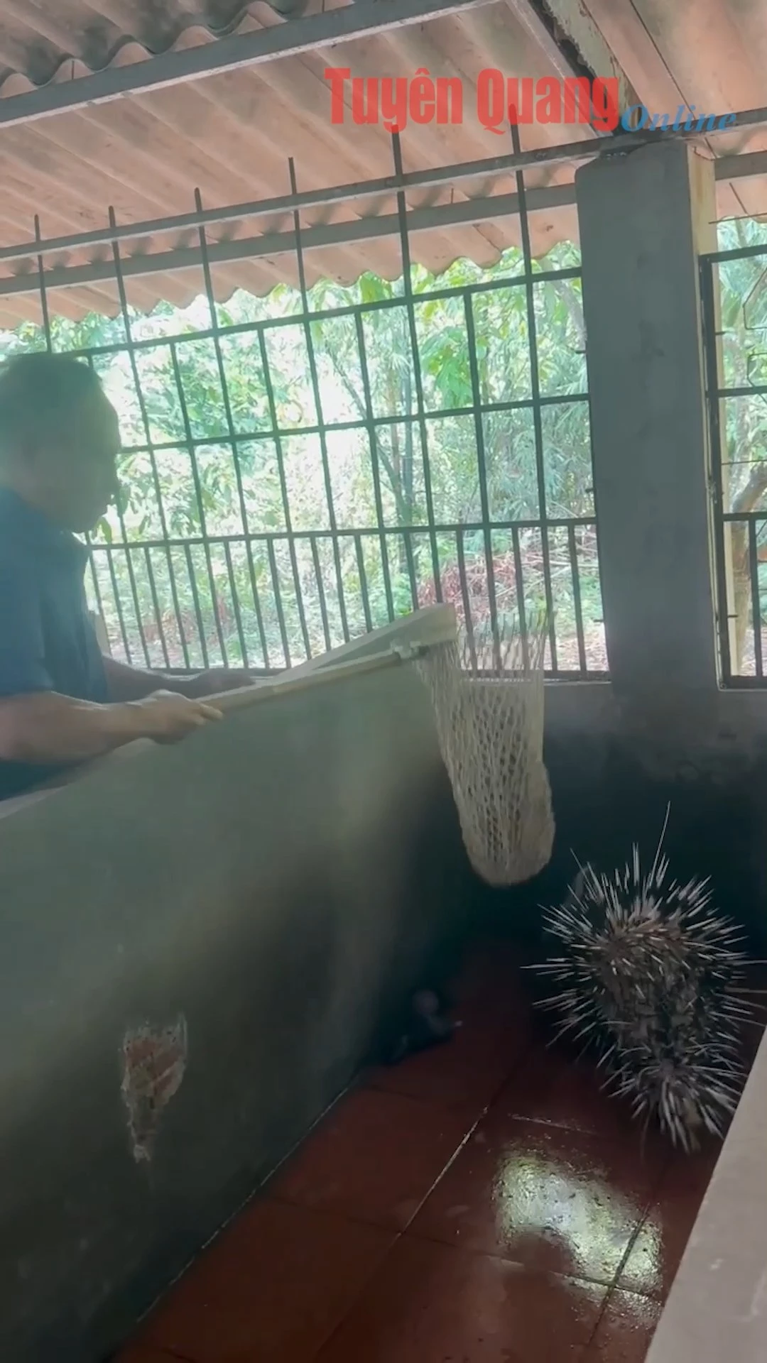 L&agrave;m gi&agrave;u từ những ch&uacute; nh&iacute;m