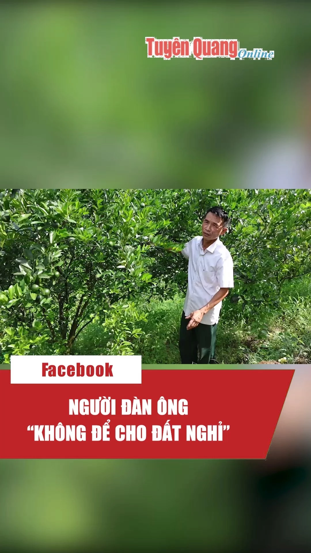 Người đ&agrave;n &ocirc;ng &ldquo;kh&ocirc;ng để cho đất nghỉ&rdquo;
