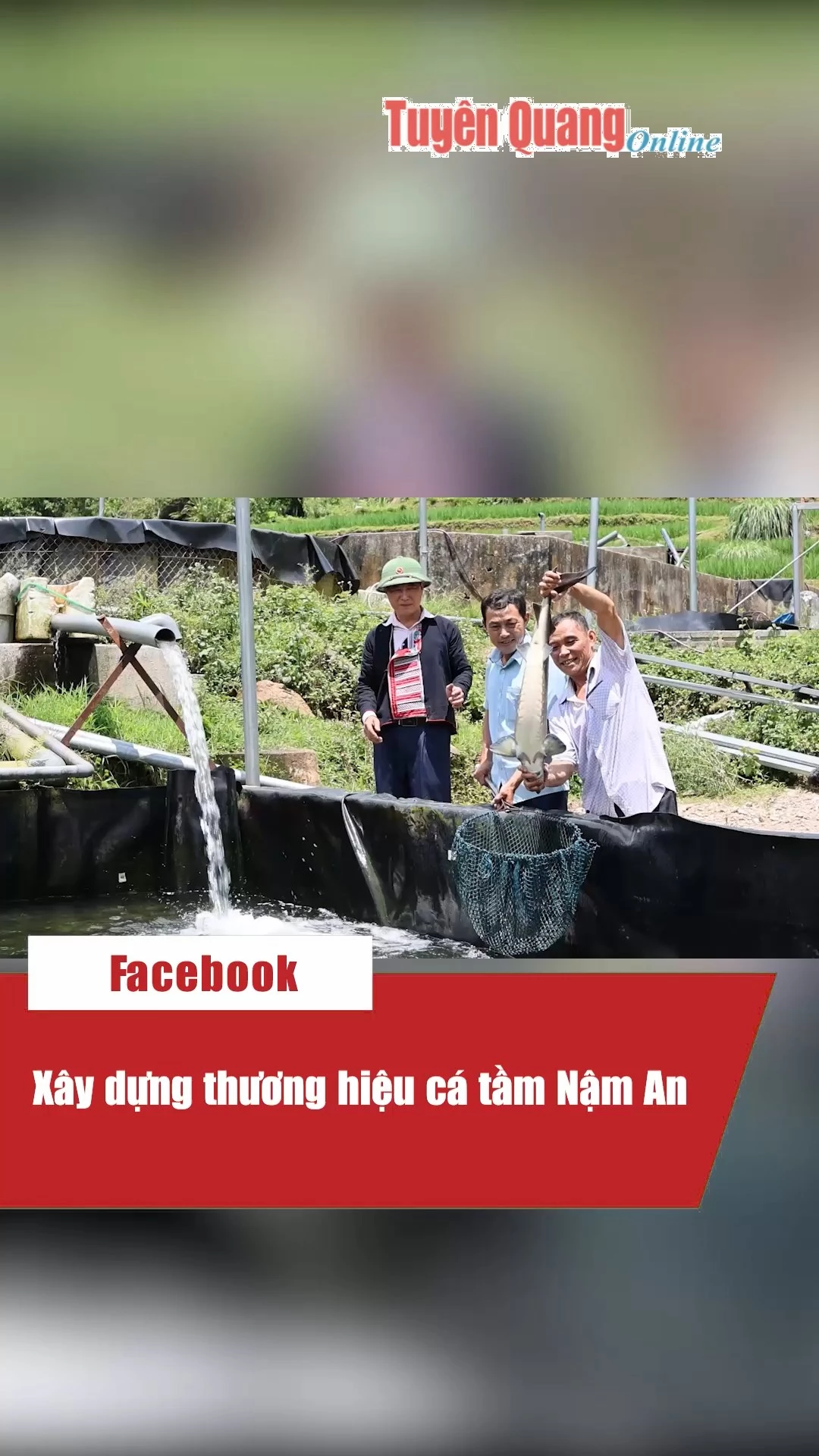 X&acirc;y dựng thương hiệu c&aacute; tầm Nậm An