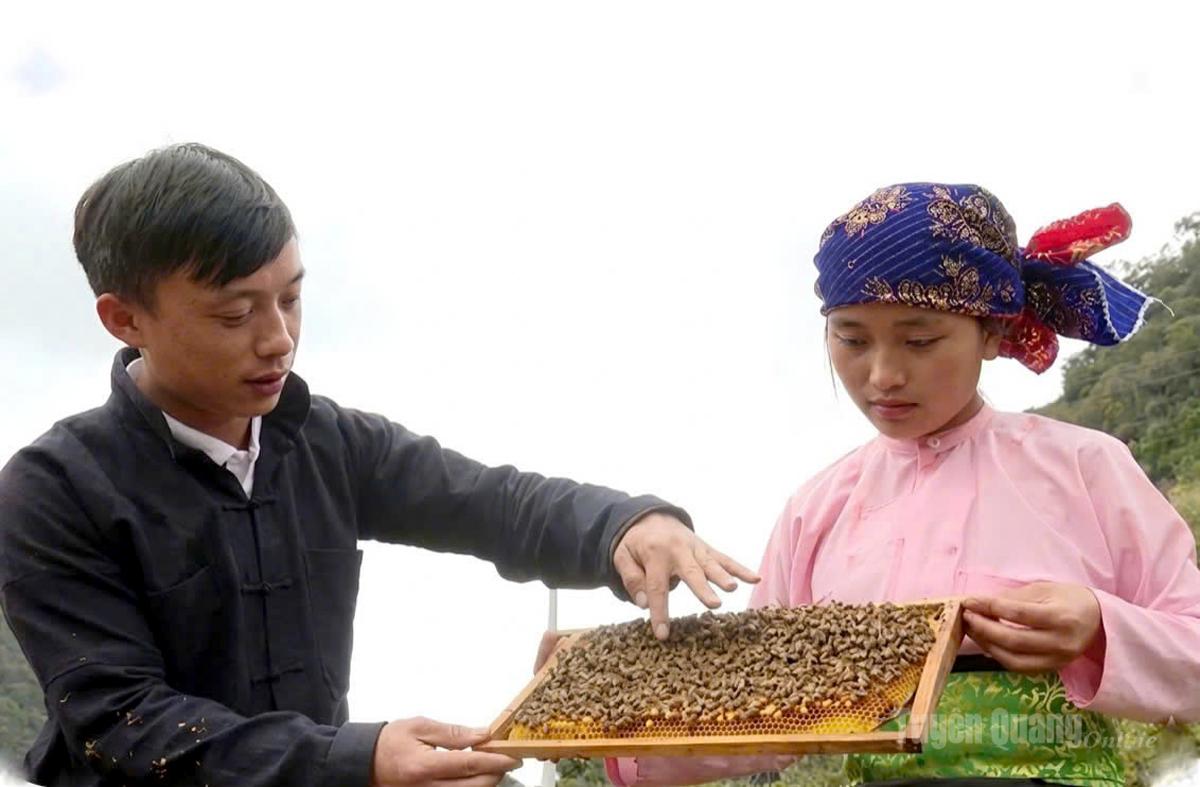 Người dân thôn Vần Chải, xã Yên Minh nuôi ong Bạc hà lấy mật, nâng cao thu nhập.