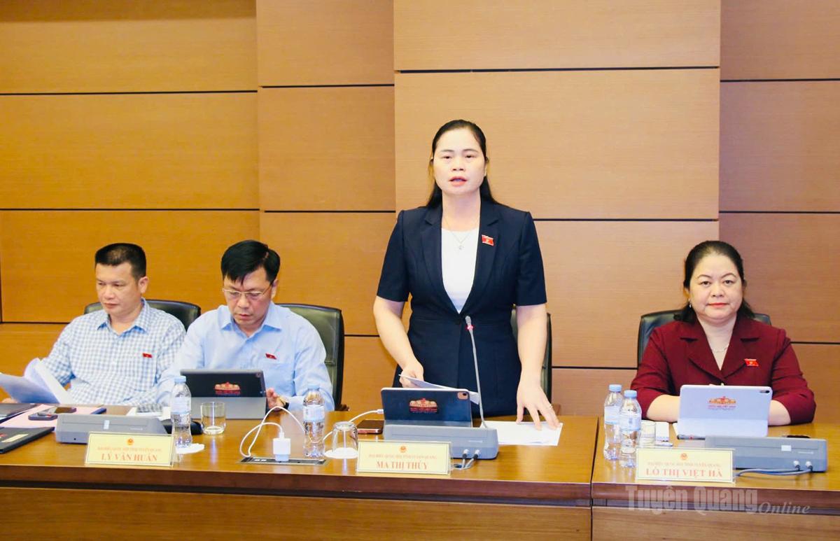 Đại biểu Ma Thị Thúy thảo luận tại tổ về dự án Luật Dầu khí (sửa đổi).