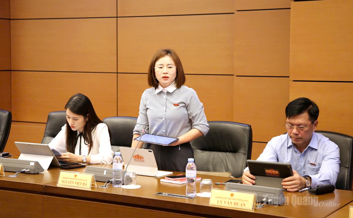 Đại biểu Nguyễn Việt Hà thảo luận về dự án Luật sửa đổi, bổ sung một số điều của Luật Trách nhiệm bồi thường của Nhà nước.