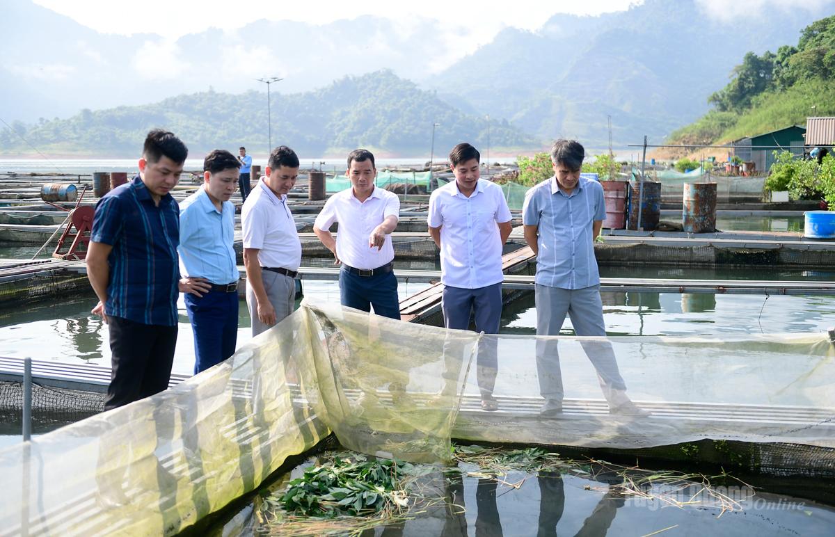 Đại biểu tham quan mô hình nuôi cá lồng của HTX Thủy sản Làng chài, xã Nà Hang.