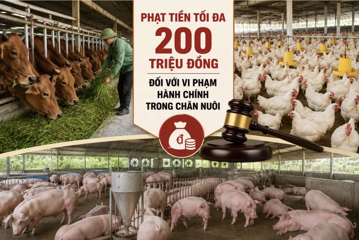 Chính sách mới có hiệu lực từ tháng 8 - Báo Tuyên Quang điện tử