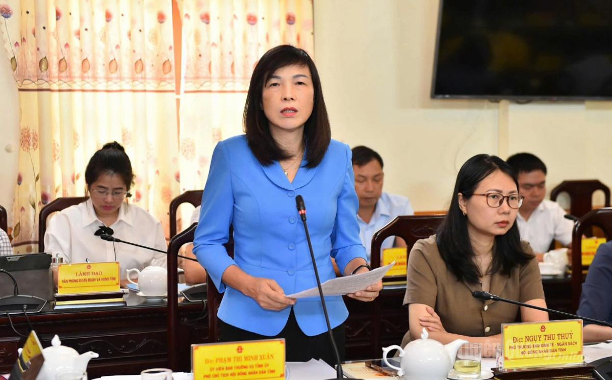 Đồng chí Phạm Thị Minh Xuân, Phó Chủ tịch HĐND tỉnh phát biểu tại hội nghị.