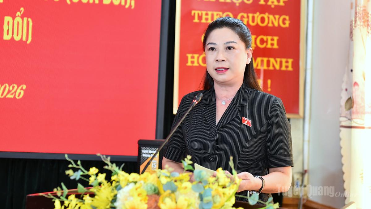 Đồng chí Lê Thị Kim Dung, Phó Bí thư Thường trực Tỉnh ủy, Trưởng đoàn ĐBQH tỉnh phát biểu tại hội nghị.