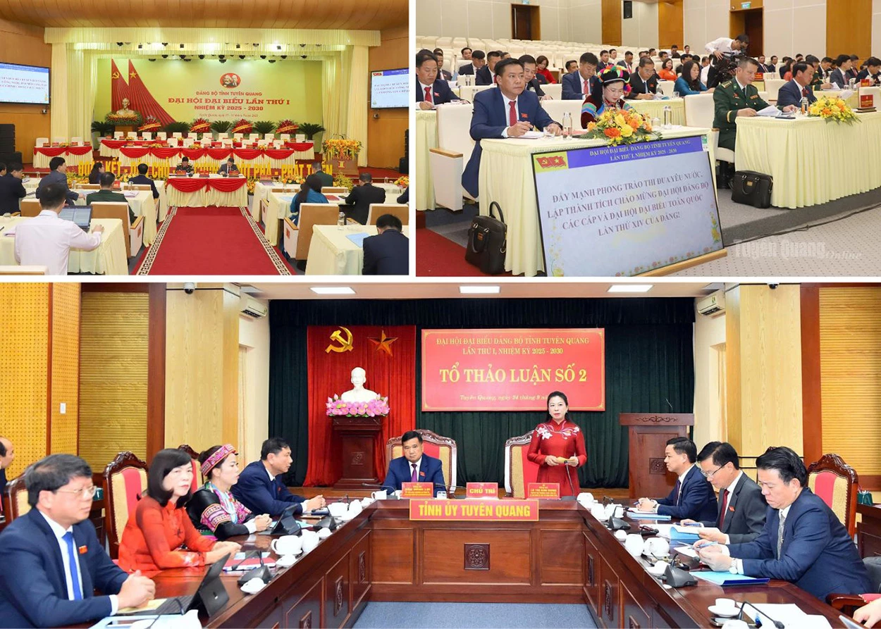 Các đại biểu thảo thảo luận tại tổ.