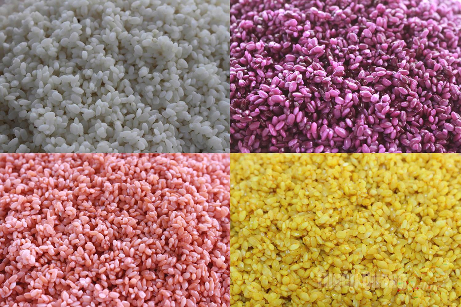 The first and most important step is selecting the rice. The Tay mainly use upland glutinous rice, with large, round, firm, and intact grains.