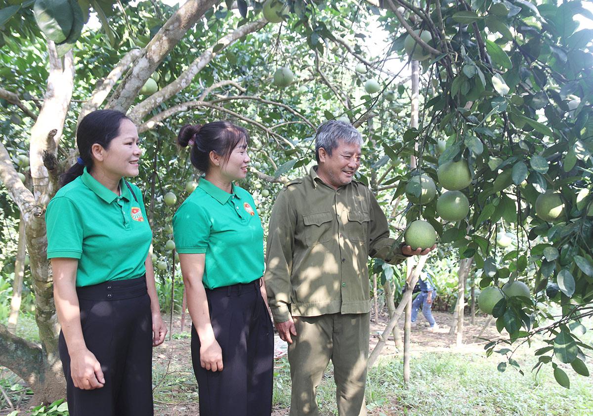 Hợp tác xã Chế biến chè Phìn Hồ, xã Thông Nguyên là đơn vị sở hữu hai sản phẩm OCOP 5 sao.