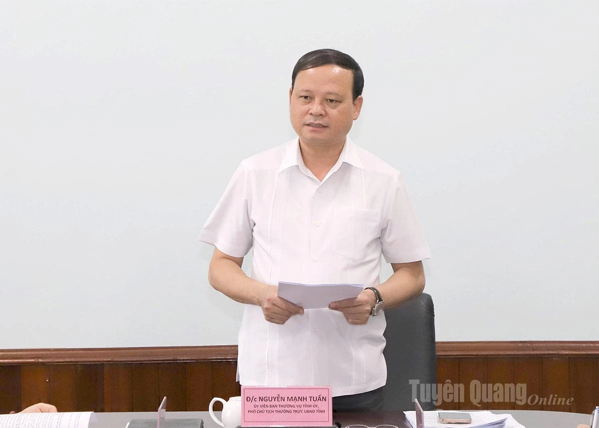 Phó Chủ tịch Thường trực UBND tỉnh Nguyễn Mạnh Tuấn kết luận phiên họp.