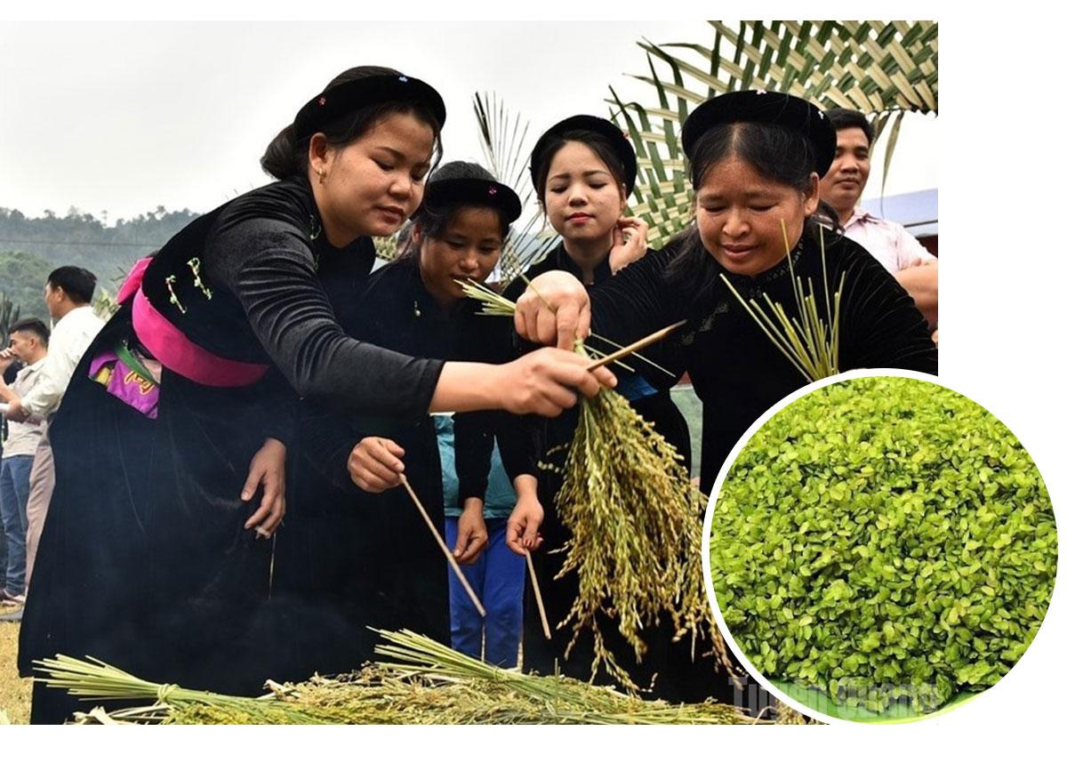 Cốm xanh Bản Cưởm.