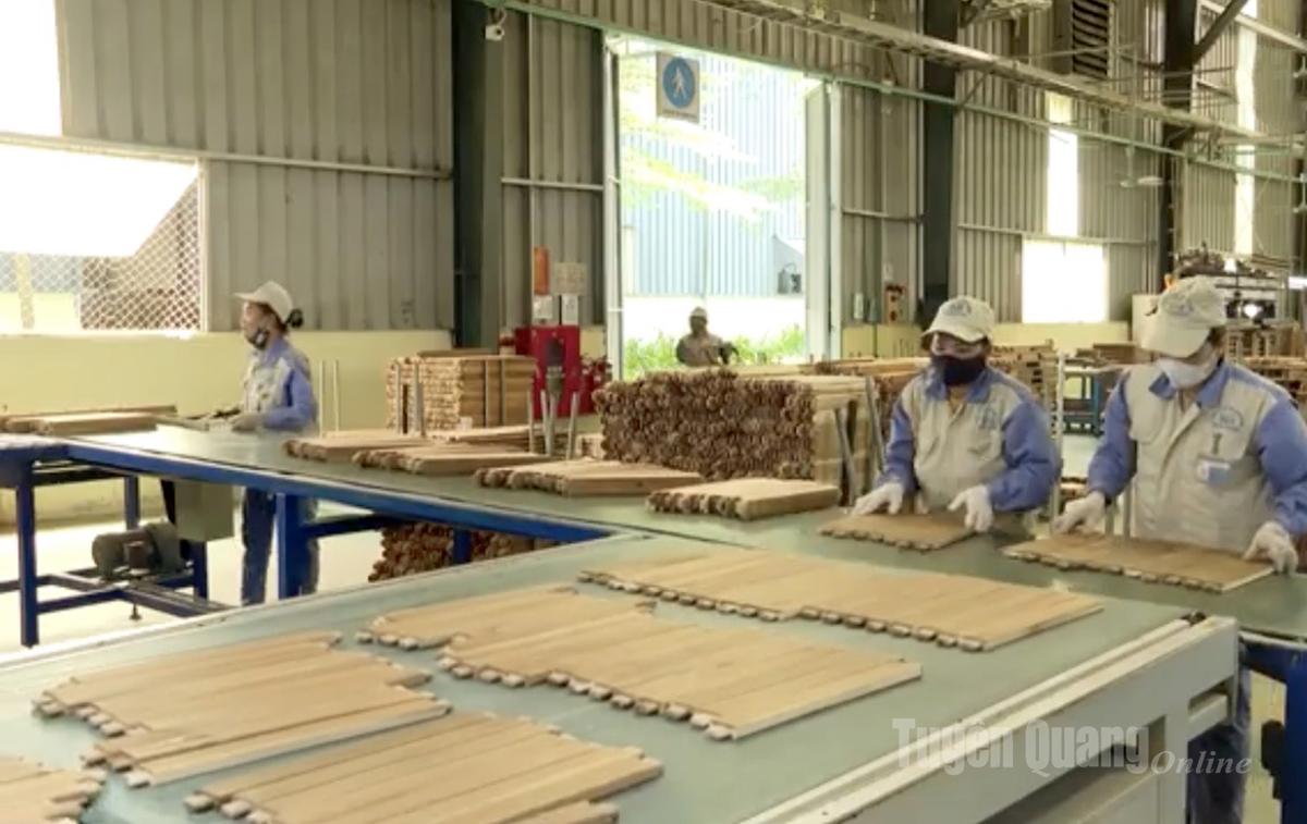 Sản xuất gỗ xuất khẩu tại Công ty Cổ phần Woodsland Tuyên Quang, Cụm công nghiệp Yên Sơn.