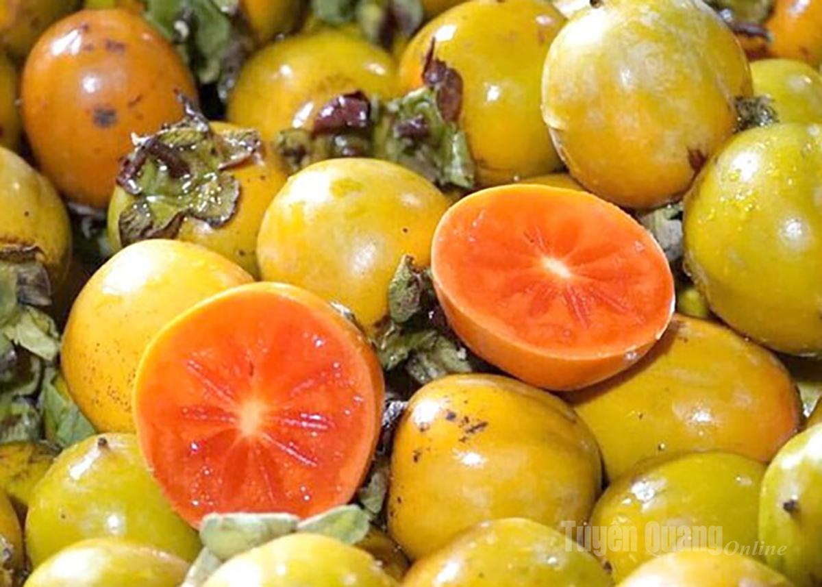 Hồng không hạt Yên Lập đã được chứng nhận OCOP 3 sao.