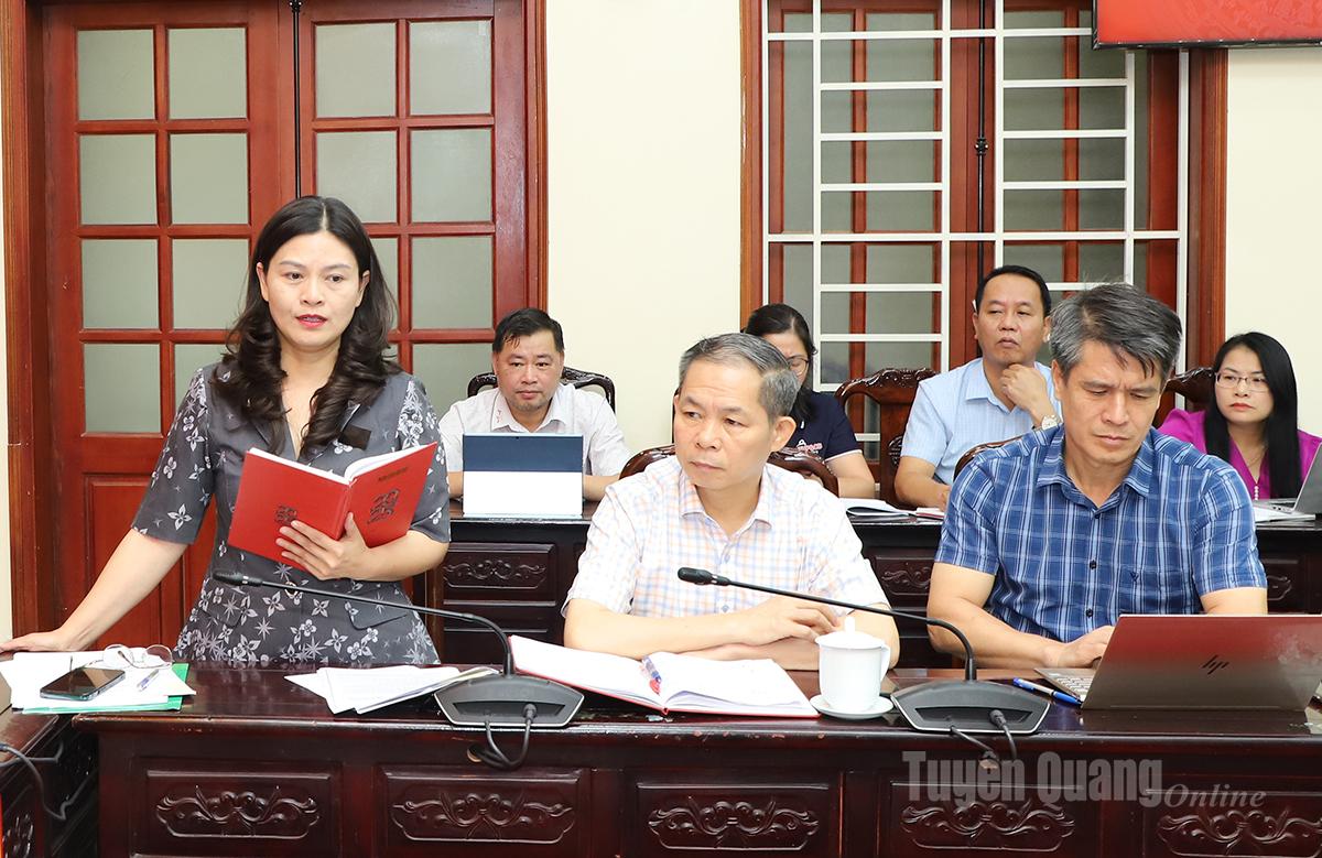 Đồng chí Vương Ngọc Hà, Ủy viên Ban Thường vụ Tỉnh ủy, Phó Chủ tịch UBND tỉnh phát biểu thảo luận tại cuộc họp.