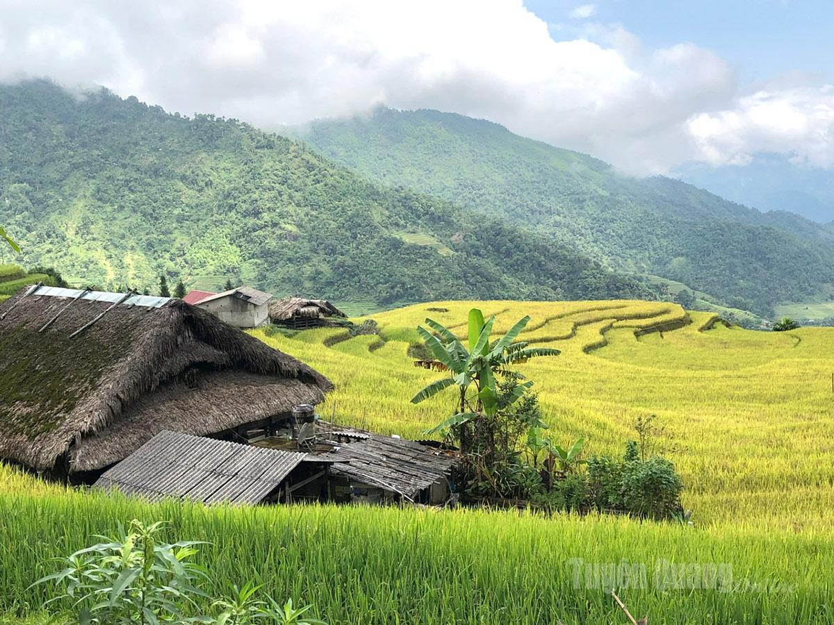 The vast beauty of terraced fields and mossy ancient roofs shimmers through the morning mist.