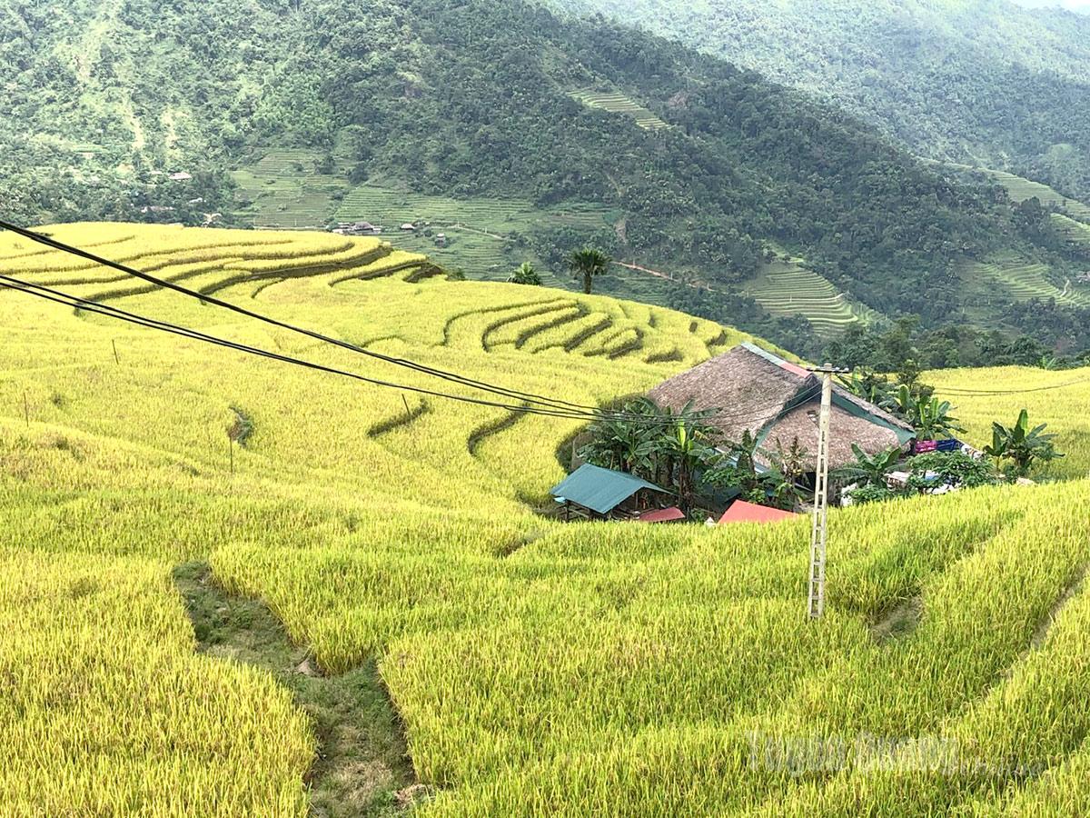From above, Xa Phin appears like a harmonious painting, shaped by both nature and human hands.