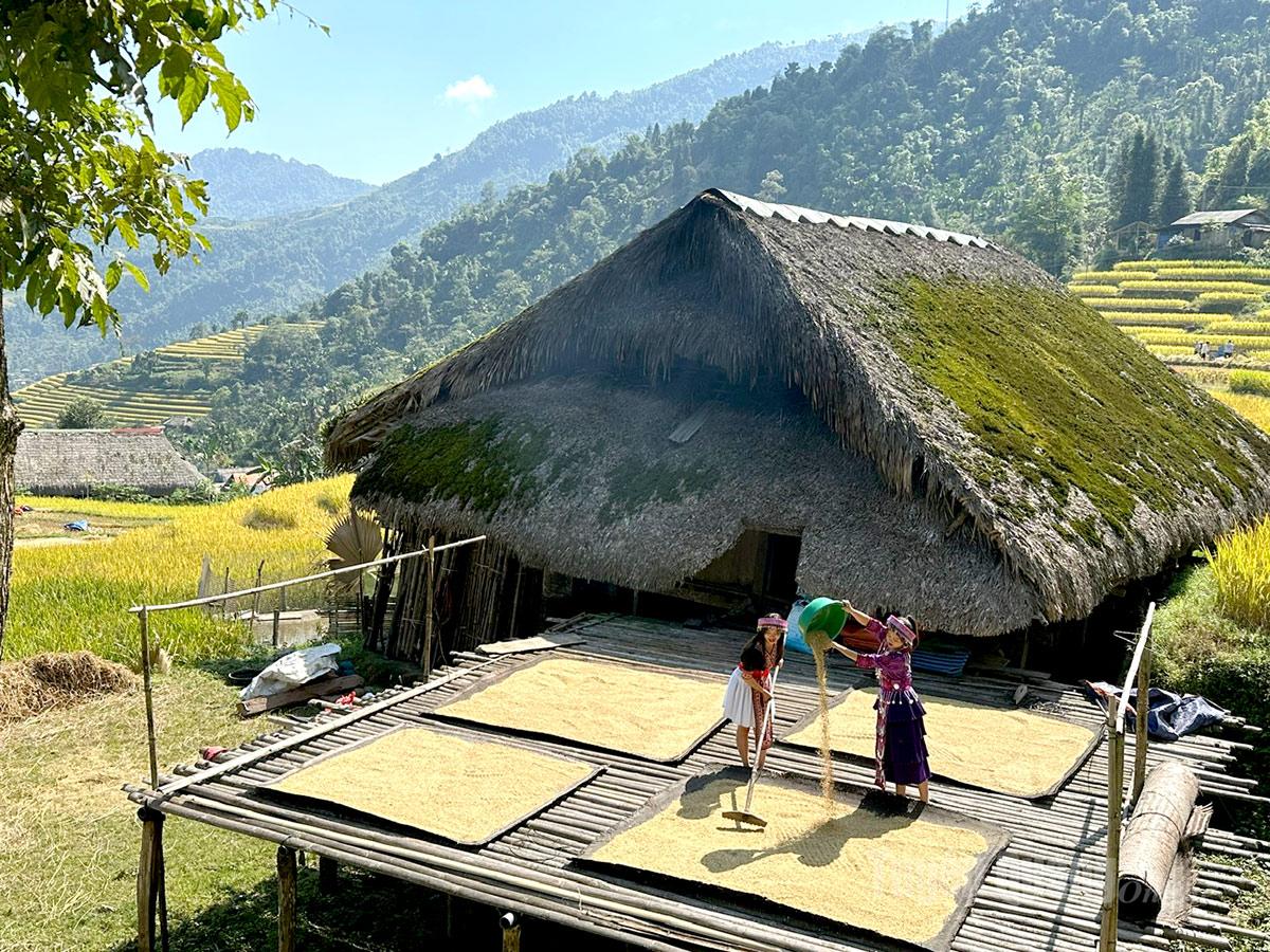 Drying rice in front of stilt houses reflects the rustic lifestyle of Xa Phin’s highland community.