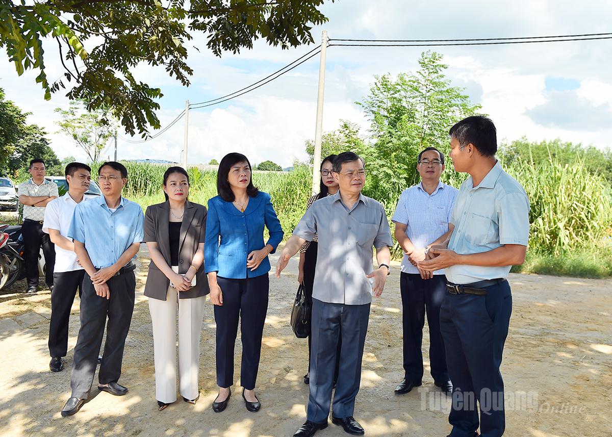 Đồng chí Nguyễn Văn Sơn, Chủ tịch HĐND tỉnh và Đoàn công tác tìm hiểu về nguồn nguyên liệu sản xuất của Công ty Cổ phần Hồ Toản.