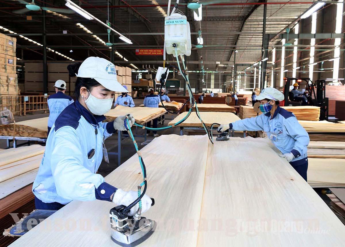 Công ty Cổ phần Woodsland Tuyên Quang thu hút nhiều lao động có tay nghề cao đến làm việc.
