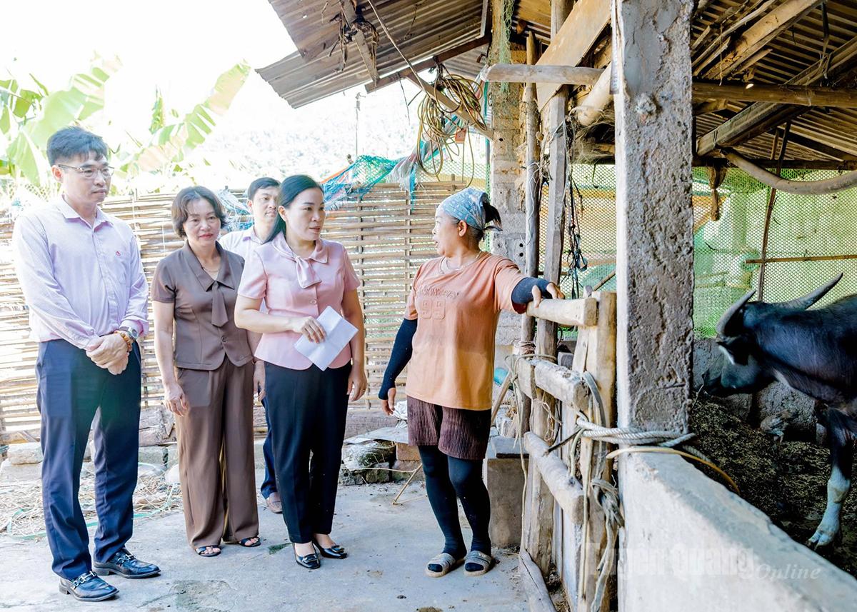 Đoàn kiểm tra, giám sát của Ban đại diện Hội đồng quản trị NHCSXH tỉnh kiểm tra mục đích, hiệu quả sử dụng vốn vay của người dân để phát triển kinh tế.